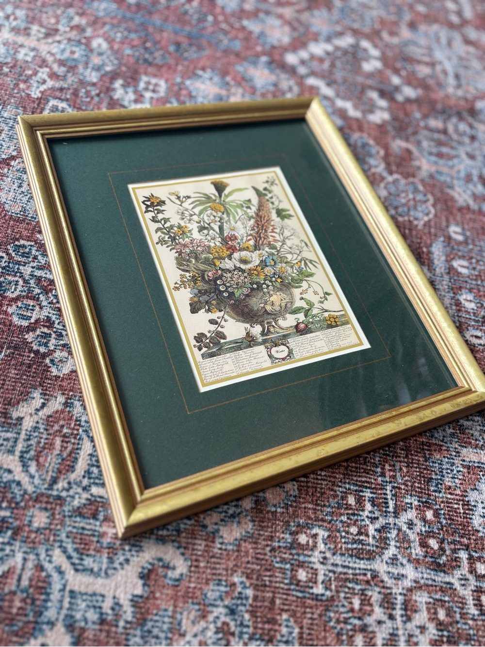 Vintage Botanical "Winter" Print in Gold Frame